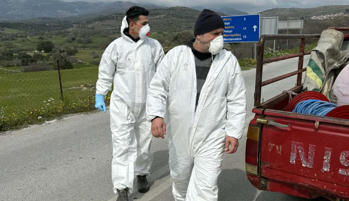 Αγροτικά - ΥΠΑΑΤ: Στα 17 τα επιβεβαιωμένα κρούσματα αφθώδους πυρετού στη Λέσβο – Επιβεβαιώθηκαν 4 νέα κρούσματα Αγροτικά - ΥΠΑΑΤ: Στα 17 τα επιβεβαιωμένα κρούσματα αφθώδους πυρετού στη Λέσβο – Επιβεβαιώθηκαν 4 νέα κρούσματα