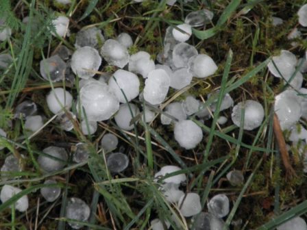 Αγροτικά - Αρχές Απριλίου πληρώνει ο ΕΛΓΑ για τις ζημιές του 2025 Αγροτικά - Αρχές Απριλίου πληρώνει ο ΕΛΓΑ για τις ζημιές του 2025