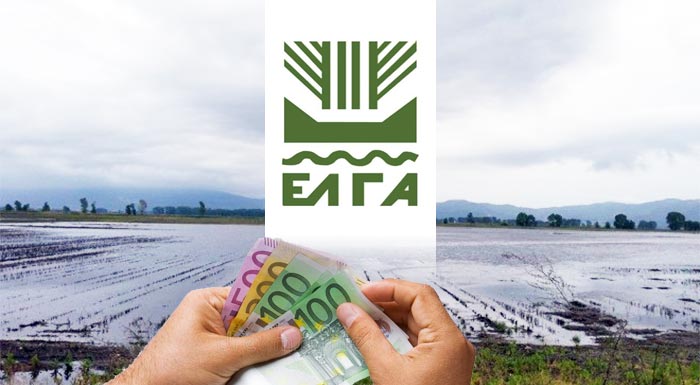 ΘΕΣΣΑΛΙΑ - Εκτός από τα 200 εκατ. των ενισχύσεων και αποζημιώσεις ΕΛΓΑ τη Μεγάλη Εβδομάδα σε 30.000 δικαιούχους ΘΕΣΣΑΛΙΑ - Εκτός από τα 200 εκατ. των ενισχύσεων και αποζημιώσεις ΕΛΓΑ τη Μεγάλη Εβδομάδα σε 30.000 δικαιούχους