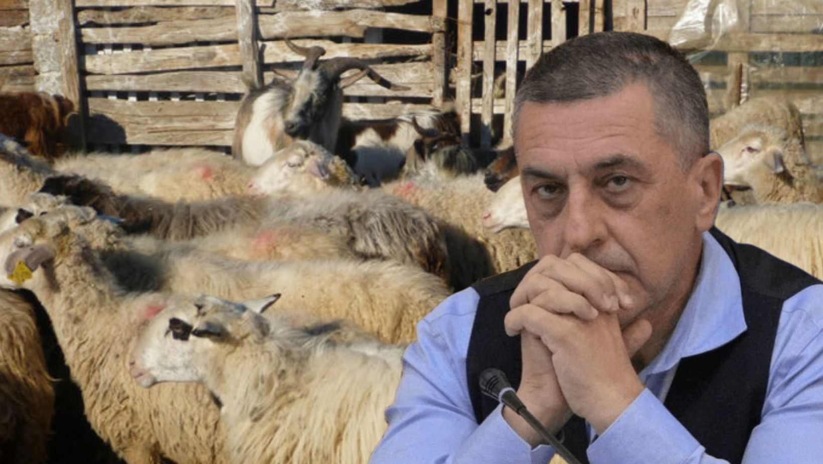 ΤΡΙΚΑΛΑ - Ο Κουρέτας είχε αποπέμψει τον κτηνίατρο ο οποίος αναφέρεται στους διαλόγους της Παπακώστα ΤΡΙΚΑΛΑ - Ο Κουρέτας είχε αποπέμψει τον κτηνίατρο ο οποίος αναφέρεται στους διαλόγους της Παπακώστα