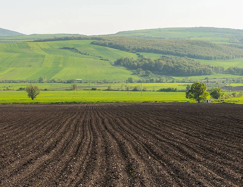 Κανονικά οι επιδοτήσεις τη Μ. Πέμπτη για αγροτεμάχια με προβλήματα στο monitoring – Τι αναφέρει τροποποιητική απόφαση