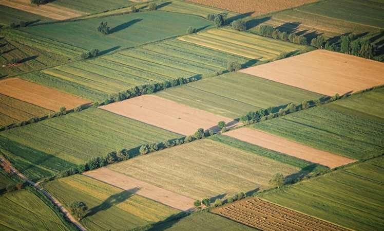 ΑΑΔΕ: Πληρωμή σήμερα 202 εκατ. ευρώ για 294.000 αγροτεμάχια κατόπιν ελέγχων -122 εκατ. ευρώ για συνδεδεμένη βαμβακιού