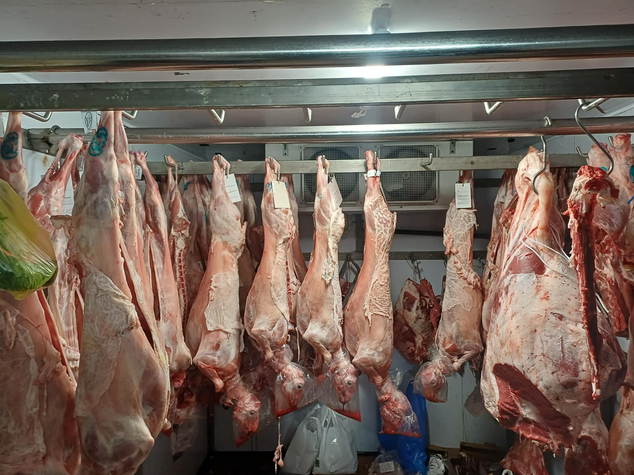 Αγροτικά - ΥΠΑΑΤ: Πάνω από 1.800 έλεγχοι ενόψει Πάσχα για την προστασία του καταναλωτή και την αποτροπή ελληνοποιήσεων Αγροτικά - ΥΠΑΑΤ: Πάνω από 1.800 έλεγχοι ενόψει Πάσχα για την προστασία του καταναλωτή και την αποτροπή ελληνοποιήσεων