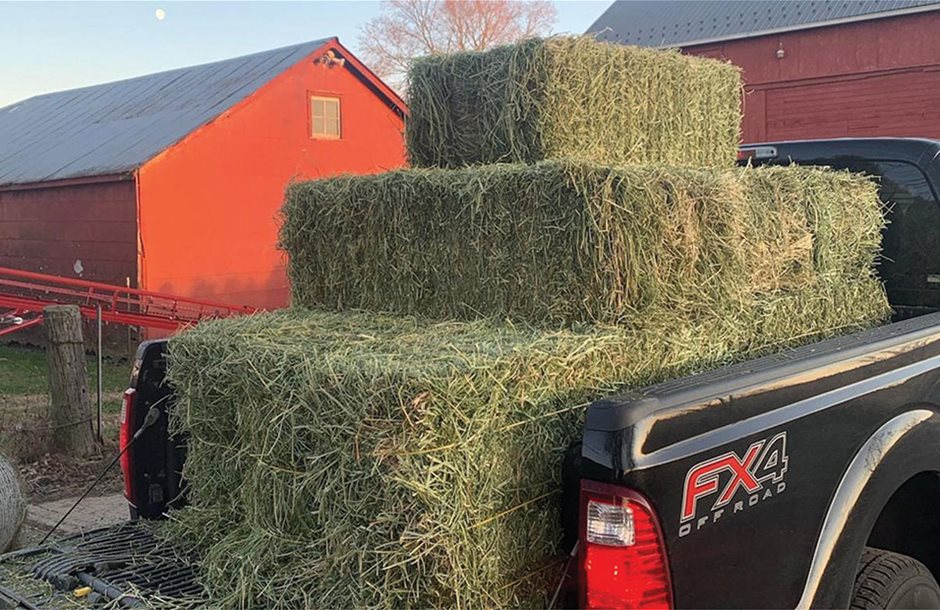 Αγροτικά - Στο Υπ. Οικονομικών η απόφαση για ενίσχυση 35 εκατ. στη μηδική, ανάλογα με την κοπή και κατά ζώνες τα ποσά Αγροτικά - Στο Υπ. Οικονομικών η απόφαση για ενίσχυση 35 εκατ. στη μηδική, ανάλογα με την κοπή και κατά ζώνες τα ποσά