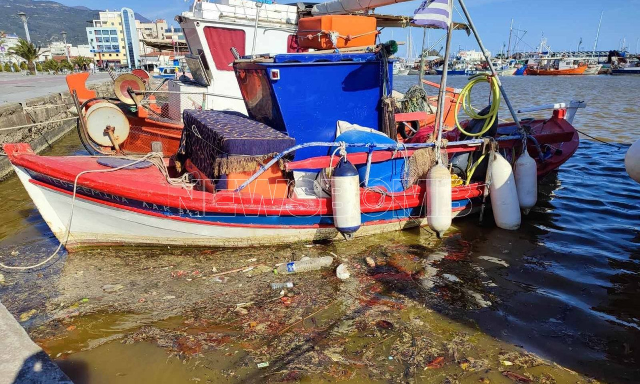 ΒΟΛΟΣ - Βόλος: Συνεχίζει να εξαπλώνεται η κίτρινη βλέννα στο λιμάνι - Τι έδειξε η μελέτη των δειγμάτων που ελήφθησαν ΒΟΛΟΣ - Βόλος: Συνεχίζει να εξαπλώνεται η κίτρινη βλέννα στο λιμάνι - Τι έδειξε η μελέτη των δειγμάτων που ελήφθησαν