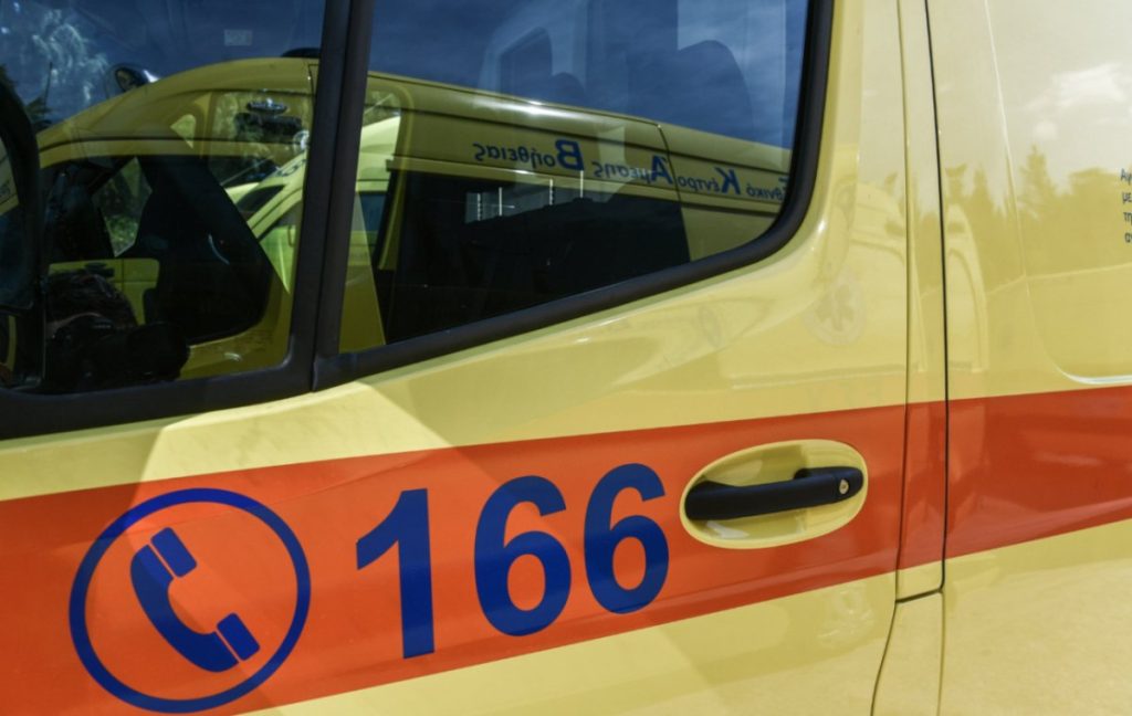 ΕΛΛΑΔΑ - Πανικός στη Σύρο – Οχιά δάγκωσε 13χρονο ΕΛΛΑΔΑ - Πανικός στη Σύρο – Οχιά δάγκωσε 13χρονο