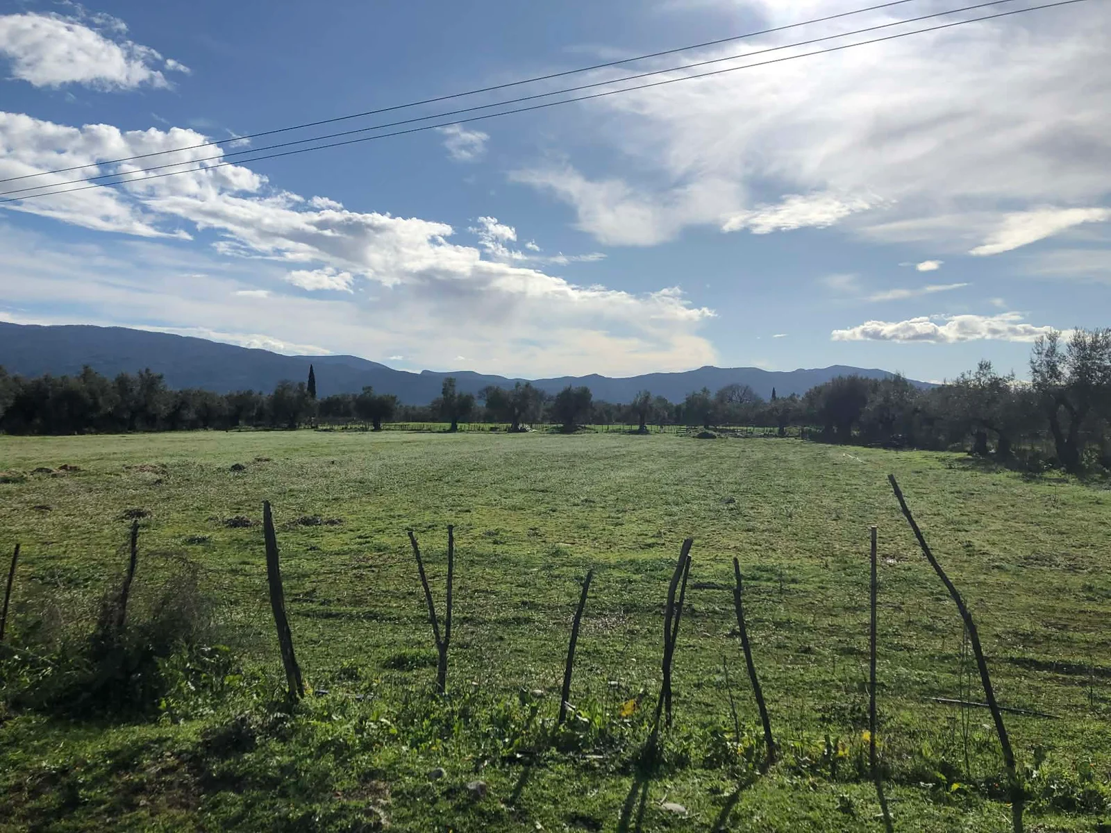 Αγροτικά - Και η σποροπαραγωγή στα de minimis τριφυλλιών, στα 36-37 εκατ. ευρώ όλο το ποσό Αγροτικά - Και η σποροπαραγωγή στα de minimis τριφυλλιών, στα 36-37 εκατ. ευρώ όλο το ποσό