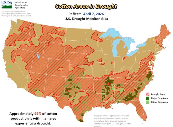 Τάσεις ανάκαμψης για την τιμή του βαμβακιού από την ξηρασία σοκ που πλήττει τις ΗΠΑ Τάσεις ανάκαμψης για την τιμή του βαμβακιού από την ξηρασία σοκ που πλήττει τις ΗΠΑ