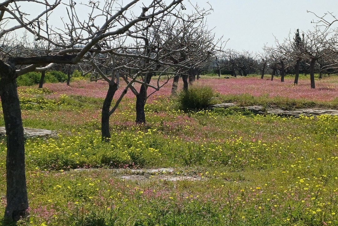 Τακούδης: Δεν έχουμε μεταφορά σκόνης από Αφρική, θα παραμείνει βροχερός ο Απρίλης-προσοχή στο El Ninio