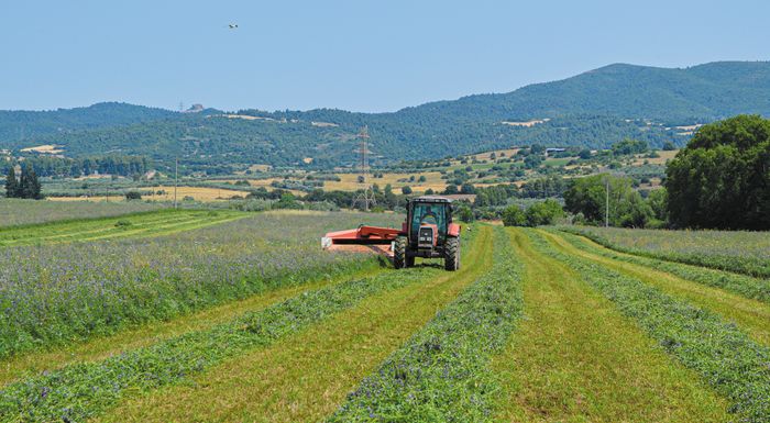 ΑΓΡΟΤΙΚΑ - Περιμένουν το de minimis οι παραγωγοί μηδικής για να ρεφάρουν ΑΓΡΟΤΙΚΑ - Περιμένουν το de minimis οι παραγωγοί μηδικής για να ρεφάρουν