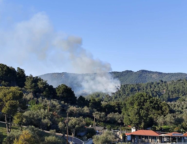 ΒΟΛΟΣ - Υπό έλεγχο η φωτιά στο πευκοδάσος της Σκιάθου ΒΟΛΟΣ - Υπό έλεγχο η φωτιά στο πευκοδάσος της Σκιάθου