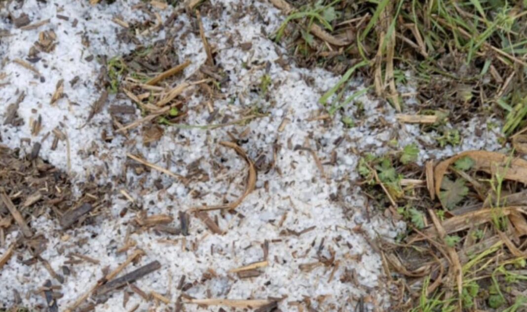 Σφοδρή χαλαζόπτωση έπληξε καλλιέργειες σε χωριό της Ελασσόνας