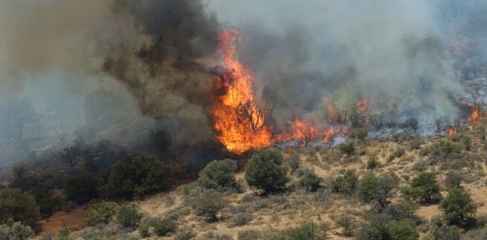 ΒΟΛΟΣ - Σύλληψη και πρόστιμο στον 59χρονο αγρότη που ευθύνεται για τη φωτιά στο Νεοχώρι Πηλίου ΒΟΛΟΣ - Σύλληψη και πρόστιμο στον 59χρονο αγρότη που ευθύνεται για τη φωτιά στο Νεοχώρι Πηλίου