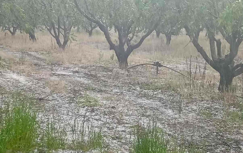 ΛΑΡΙΣΑ - Έντονη χαλαζόπτωση έπληξε χθες το απόγευμα σε χωριό της Ελασσόνας ΛΑΡΙΣΑ - Έντονη χαλαζόπτωση έπληξε χθες το απόγευμα σε χωριό της Ελασσόνας