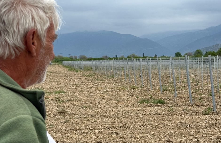 Αγροτικά - Για πρώτη φορά με το σύστημα ΑΑΔΕ οι δηλώσεις καλλιέργειας, πολλά τα προβλήματα με τα μισθωτήρια γης Αγροτικά - Για πρώτη φορά με το σύστημα ΑΑΔΕ οι δηλώσεις καλλιέργειας, πολλά τα προβλήματα με τα μισθωτήρια γης