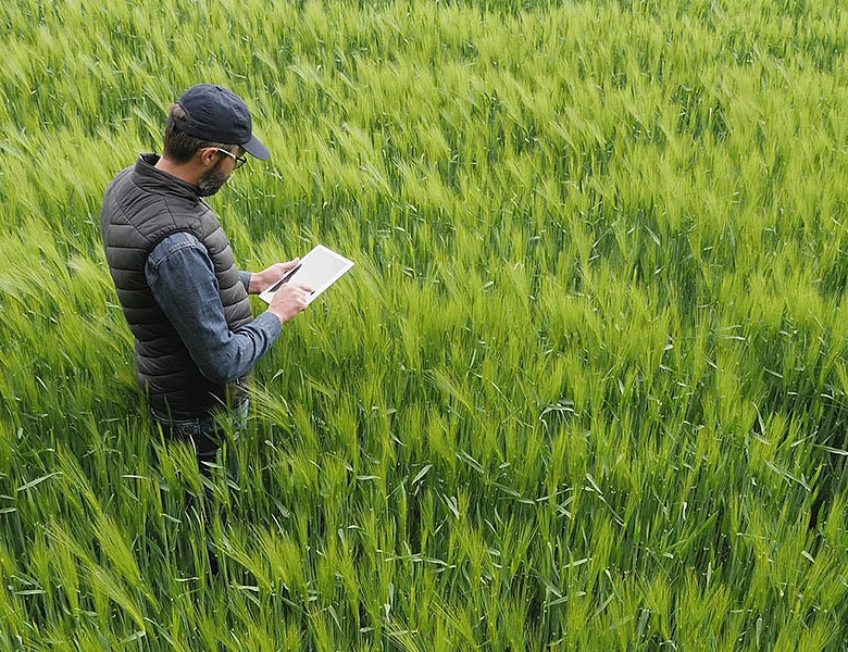ΘΕΣΣΑΛΙΑ - Έρχεται η ψηφιακή εφαρμογή της εκτιμητικής διαδικασίας στο χωράφι από τον ΕΛΓΑ ΘΕΣΣΑΛΙΑ - Έρχεται η ψηφιακή εφαρμογή της εκτιμητικής διαδικασίας στο χωράφι από τον ΕΛΓΑ