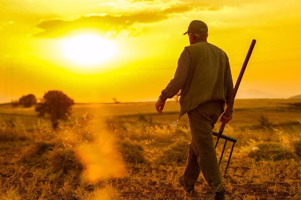 Αγροτικά - Γεωργία: Ποιος θα καλλιεργεί αύριο; Γερνούν οι αγρότες, αδειάζει η ύπαιθρος Αγροτικά - Γεωργία: Ποιος θα καλλιεργεί αύριο; Γερνούν οι αγρότες, αδειάζει η ύπαιθρος