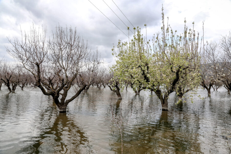 Σε ΦΕΚ αποζημιώσεις αγροτών για ζημίες από τις πλημμύρες 2023 (ανασύσταση φυτικού κεφαλαίου)