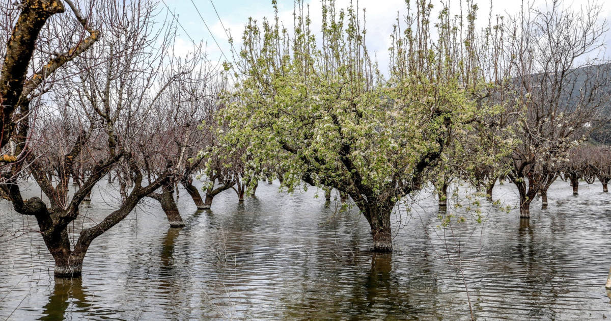 ΘΕΣΣΑΛΙΑ - ΥΠΑΑΤ: 35 εκατ. ευρώ για τις πλημμύρες του Σεπτεμβρίου 2023 (Daniel και Elias). ΘΕΣΣΑΛΙΑ - ΥΠΑΑΤ: 35 εκατ. ευρώ για τις πλημμύρες του Σεπτεμβρίου 2023 (Daniel και Elias).