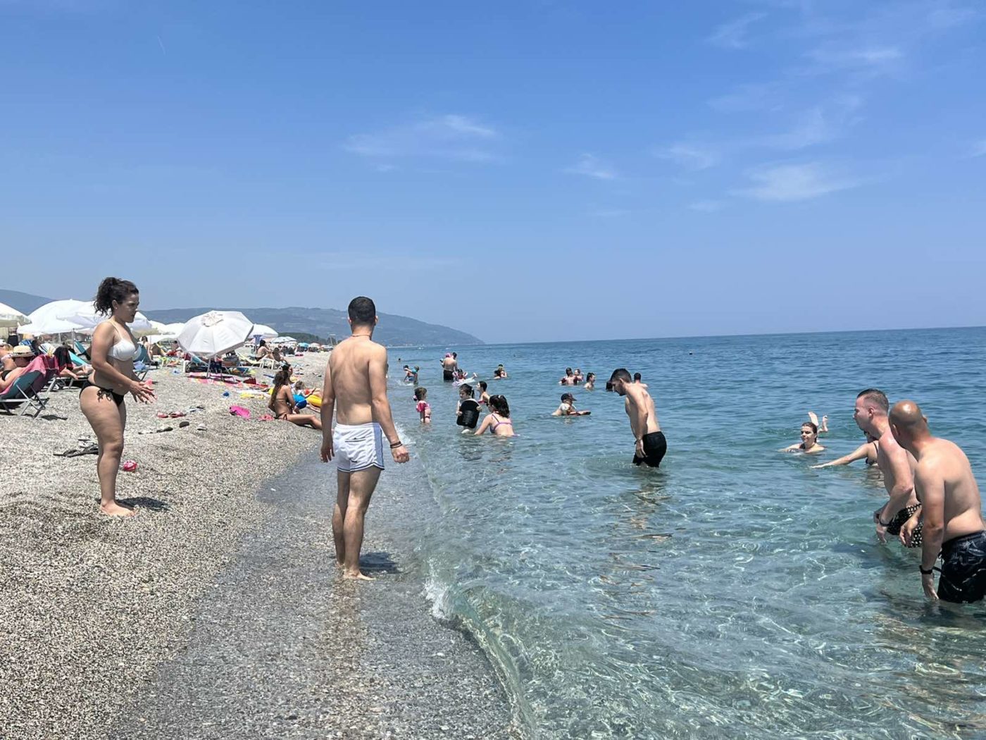 Δ. Βαφείδης καθηγητής Ιχθυολογίας Π.Θ.: Ασφαλείς οι θάλασσες στη Θεσσαλία, δεν υπάρχουν λαγοκέφαλοι (video)