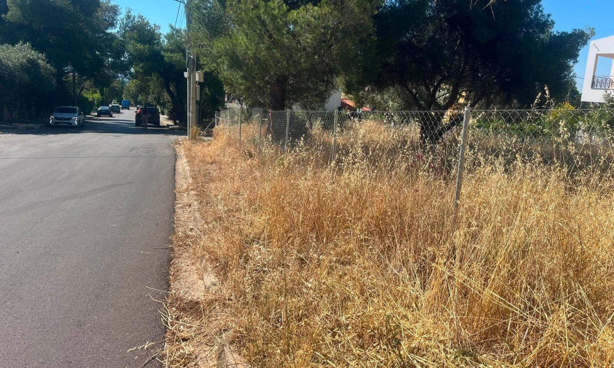 ΘΕΣΣΑΛΙΑ - Ακαθάριστα οικόπεδα: Εκπνέει η προθεσμία για την υποβολή δήλωσης - Έλεγχοι και πρόστιμα από αύριο ΘΕΣΣΑΛΙΑ - Ακαθάριστα οικόπεδα: Εκπνέει η προθεσμία για την υποβολή δήλωσης - Έλεγχοι και πρόστιμα από αύριο