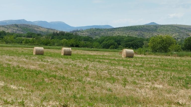 ΛΑΡΙΣΑ - Δήμος Κιλελέρ: Επιστολή σε Σχοινά – Πιτσιλή για τα προβλήματα που έχουν προκύψει λόγω του “monitoring” ΛΑΡΙΣΑ - Δήμος Κιλελέρ: Επιστολή σε Σχοινά – Πιτσιλή για τα προβλήματα που έχουν προκύψει λόγω του “monitoring”