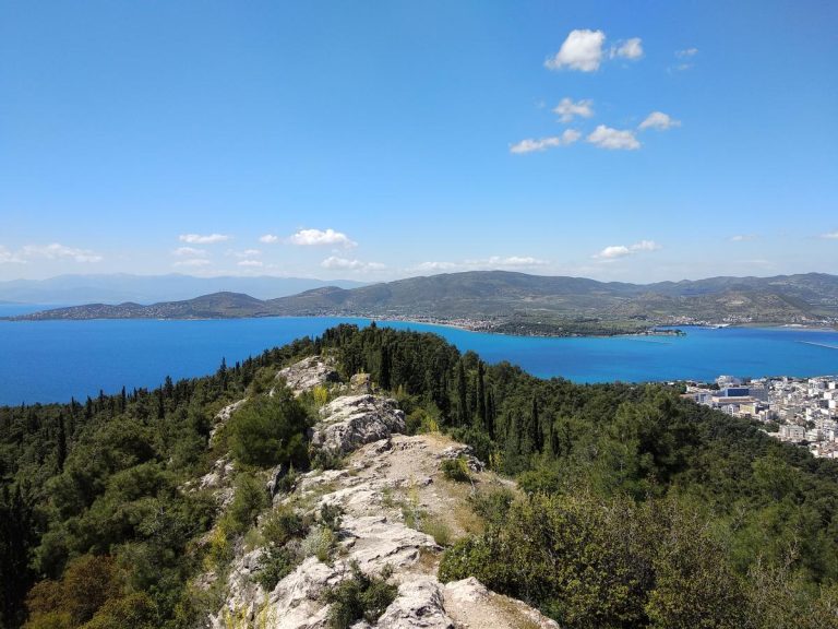 ΒΟΛΟΣ - Σε επιφυλακή ο Δήμος Βόλου για τον κίνδυνο πυρκαγιών – Νυχτερινές βάρδιες και υδροφόρες σε τρεις κρίσιμες περιοχές ΒΟΛΟΣ - Σε επιφυλακή ο Δήμος Βόλου για τον κίνδυνο πυρκαγιών – Νυχτερινές βάρδιες και υδροφόρες σε τρεις κρίσιμες περιοχές