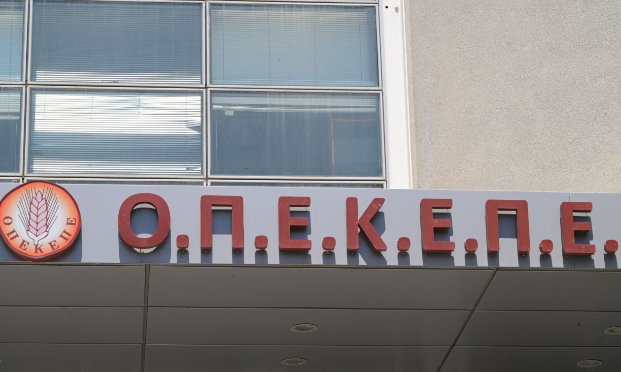 Αγροτικά - Δίκη ΟΠΕΚΕΠΕ: Ενοχή για Μελά και Ρέππα πρότεινε ο εισαγγελέας Αγροτικά - Δίκη ΟΠΕΚΕΠΕ: Ενοχή για Μελά και Ρέππα πρότεινε ο εισαγγελέας