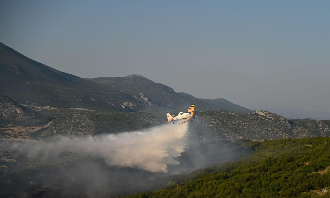ΚΑΡΔΙΤΣΑ - Υπό έλεγχο η φωτιά στα Κανάλια Μουζακίου στην Καρδίτσα ΚΑΡΔΙΤΣΑ - Υπό έλεγχο η φωτιά στα Κανάλια Μουζακίου στην Καρδίτσα