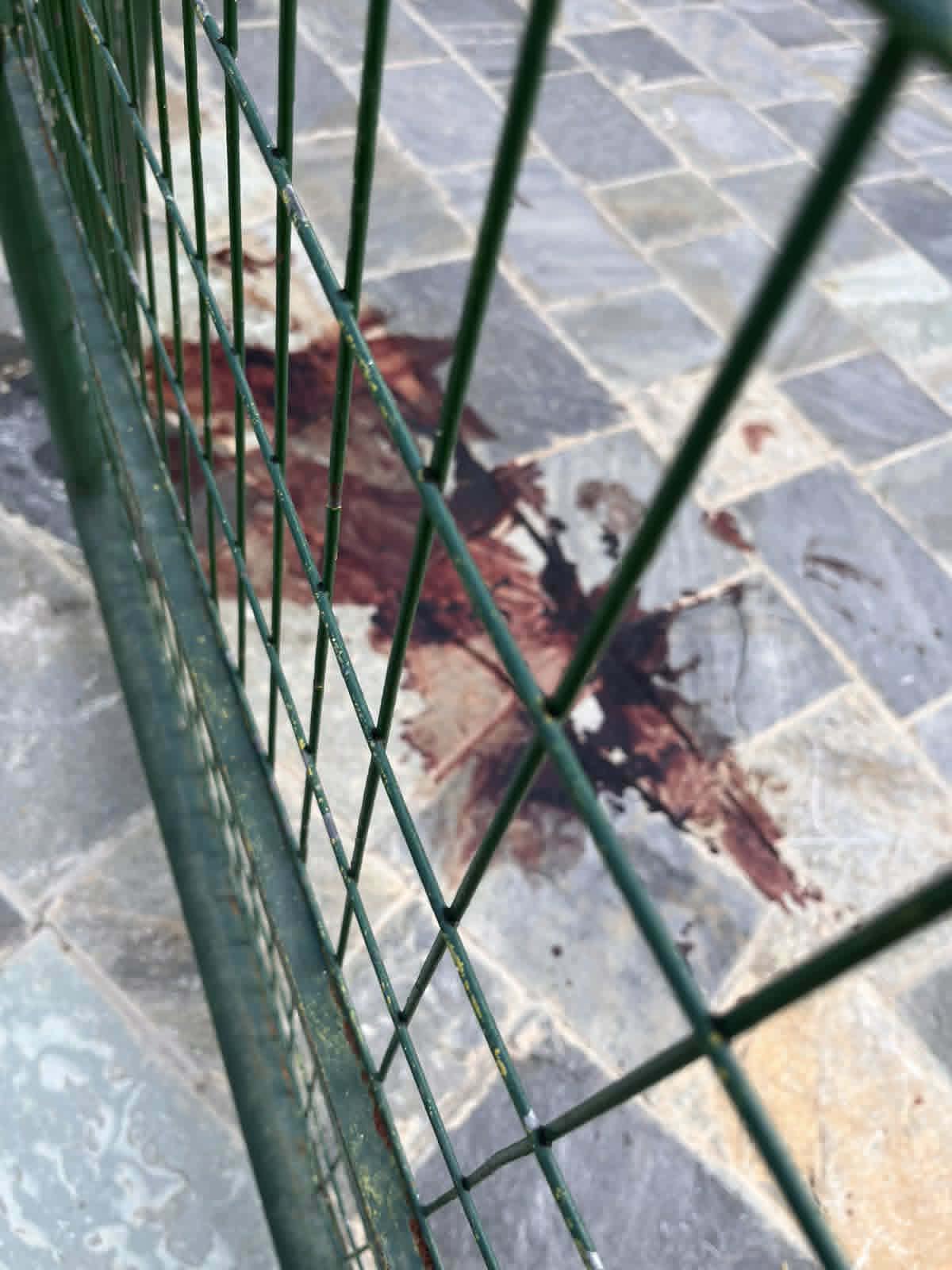 ΛΑΡΙΣΑ - Συνελήφθη 19χρονος Λαρισαίος για την επίθεση στους δύο ανήλικους Αιγύπτιους – Αναζητούνται οι υπόλοιποι της 10μελούς ομάδας ΛΑΡΙΣΑ - Συνελήφθη 19χρονος Λαρισαίος για την επίθεση στους δύο ανήλικους Αιγύπτιους – Αναζητούνται οι υπόλοιποι της 10μελούς ομάδας
