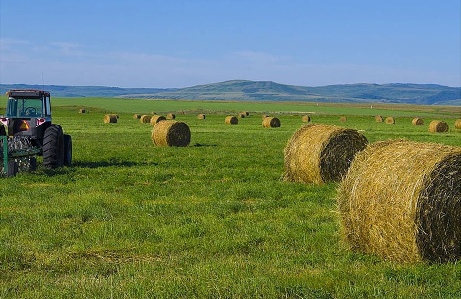 Αγροτικά - Με de minimis, παλιά 2024 και β- δόση ΕΦΚ πετρελαίου ο Ιούλιος Αγροτικά - Με de minimis, παλιά 2024 και β- δόση ΕΦΚ πετρελαίου ο Ιούλιος