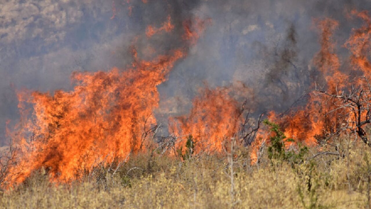 Λάρισα: Συναγερμός για φωτιά σε ξερά χόρτα στην περιοχή της Τούμπας