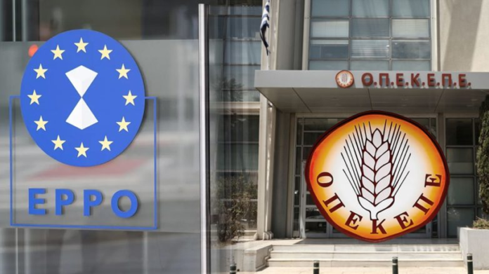 Διώξεις για υπόθεση ΟΠΕΚΕΠΕ: Κανονικά υποψήφιοι στις εκλογές οι βουλευτές- αντιμετωπίζουν πλημμελήματα Διώξεις για υπόθεση ΟΠΕΚΕΠΕ: Κανονικά υποψήφιοι στις εκλογές οι βουλευτές- αντιμετωπίζουν πλημμελήματα