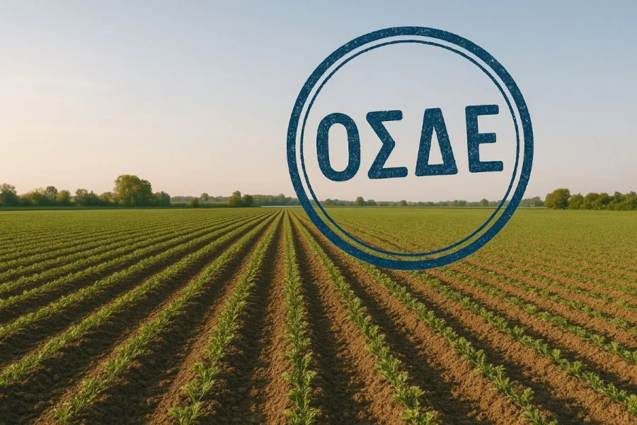 Στα «κάγκελα» τα ΚΥΔ για το ΟΣΔΕ – Tα πρόστιμα “μαμούθ” φέρνουν «μπλόκο» στις δηλώσεις (video)