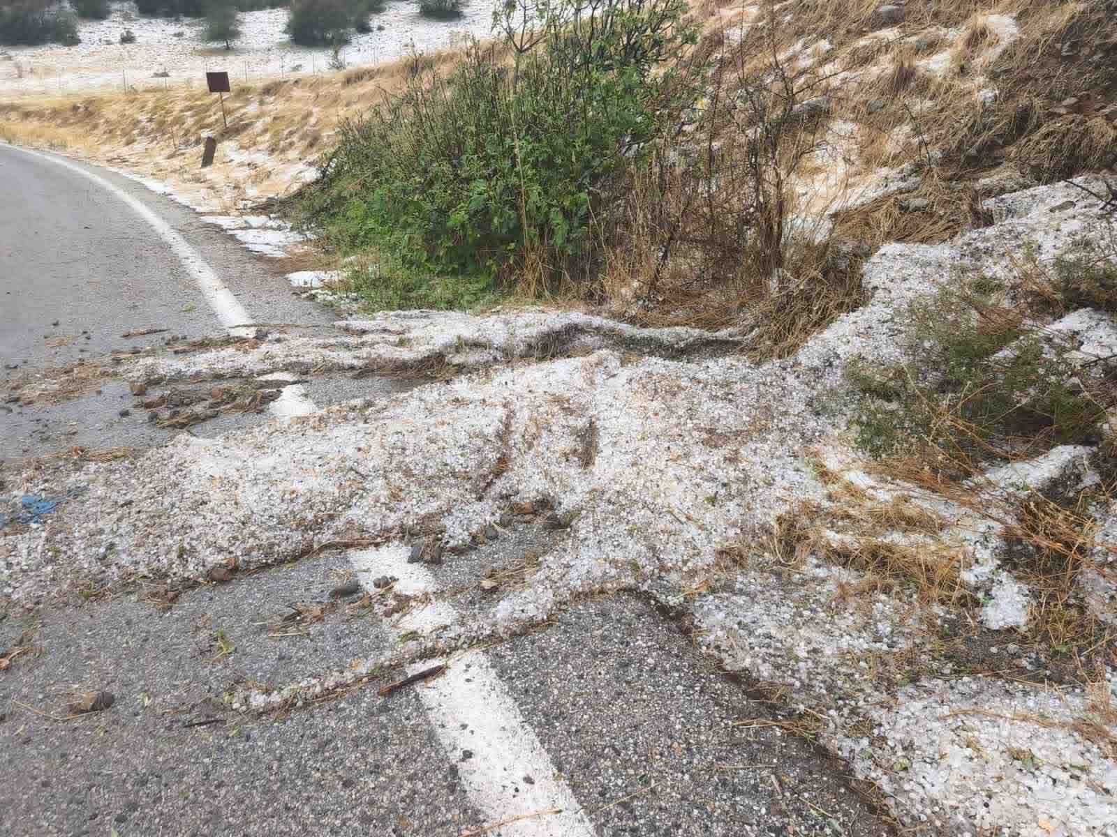 Μεγάλη οικονομική καταστροφή στον Τύρναβο σε αμπέλια, αχλάδια, ροδάκινα-άσπρισαν οι δρόμοι από το χαλάζι (ΦΩΤΟ+video)