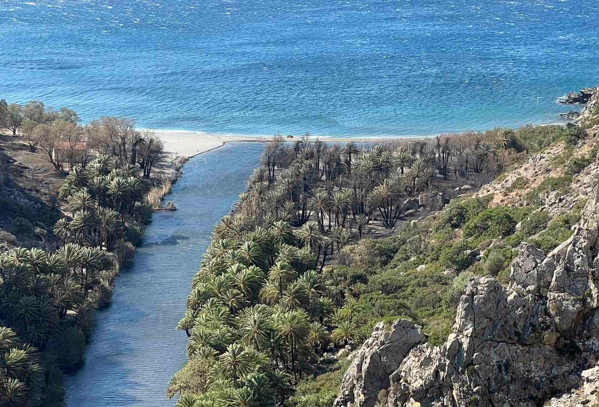 ΕΛΛΑΔΑ - Περιφέρεια Ρεθύμνης: Περιορισμένες οι ζημιές από την πυρκαγιά στο φοινικόδασος στην Πρέβελη ΕΛΛΑΔΑ - Περιφέρεια Ρεθύμνης: Περιορισμένες οι ζημιές από την πυρκαγιά στο φοινικόδασος στην Πρέβελη