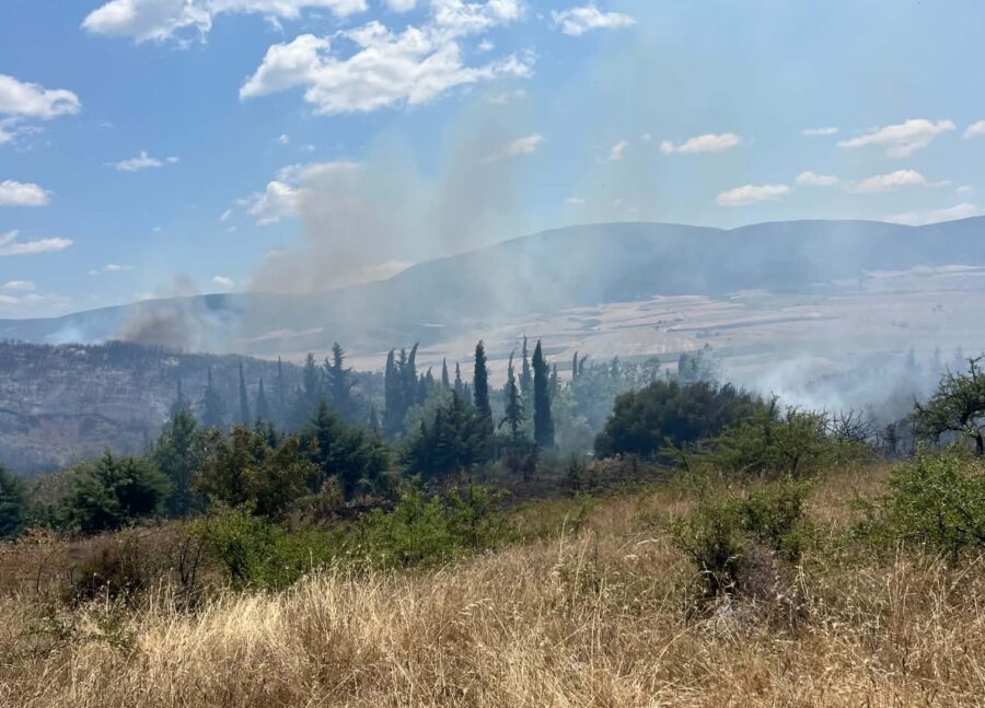 Φάρσαλα: Υπό έλεγχο η μεγάλη φωτιά στη θέση «Κυρά» χάρη στη έγκαιρη κινητοποιηση της Πυροσβεστικής