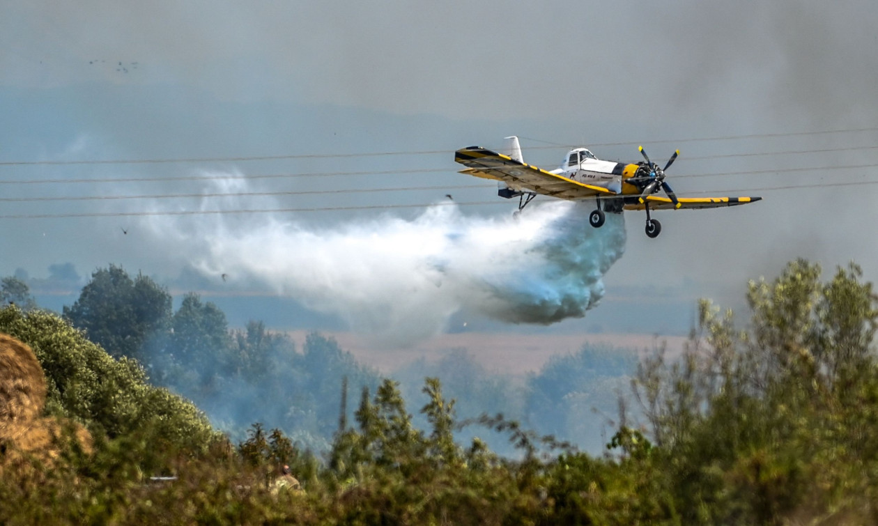 ΤΡΙΚΑΛΑ - Συνελήφθη 32χρονος στα Τρίκαλα για φωτιά σε υπολείμματα βλάστησης-άλλες δύο συλλήψεις σε Αττική, Πρέβεζα ΤΡΙΚΑΛΑ - Συνελήφθη 32χρονος στα Τρίκαλα για φωτιά σε υπολείμματα βλάστησης-άλλες δύο συλλήψεις σε Αττική, Πρέβεζα