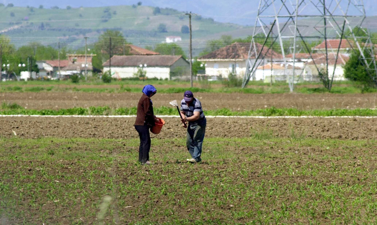 myAGRO: Νέα διαδικασία υποβολής δηλώσεων ΟΣΔΕ μέσω myAADE, δείτε βήμα – βήμα τη διαδικασία