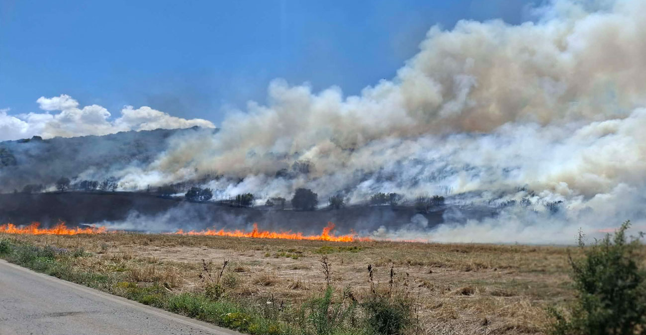 Συναγερμός για φωτιά στην Κρήνη Φαρσάλων- μήνυμα του 112 στους κατοίκους της ΠΕ Λάρισας (video)