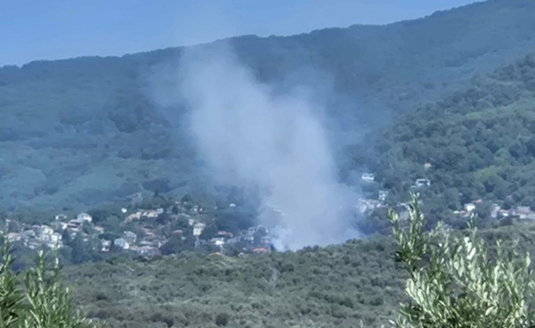 ΒΟΛΟΣ - Νέα πυρκαγιά στον Άγιο Λαυρέντιο τέθηκε άμεσα υπό έλεγχο – Προβληματισμός στην Πυροσβεστική ΒΟΛΟΣ - Νέα πυρκαγιά στον Άγιο Λαυρέντιο τέθηκε άμεσα υπό έλεγχο – Προβληματισμός στην Πυροσβεστική