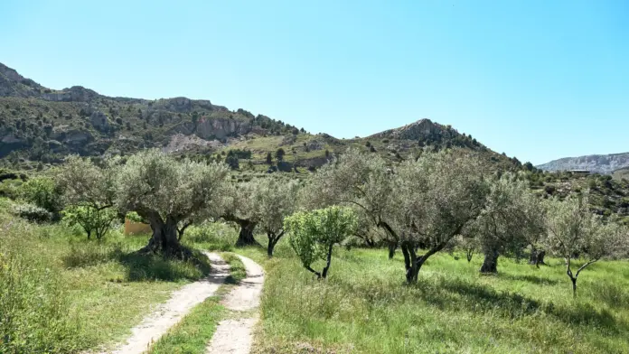 ΑΓΡΟΤΙΚΑ - ΑΑΔΕ Δικαιούχοι άμεσων ενισχύσεων και νέα κριτήρια ενεργού αγρότη ΑΓΡΟΤΙΚΑ - ΑΑΔΕ Δικαιούχοι άμεσων ενισχύσεων και νέα κριτήρια ενεργού αγρότη