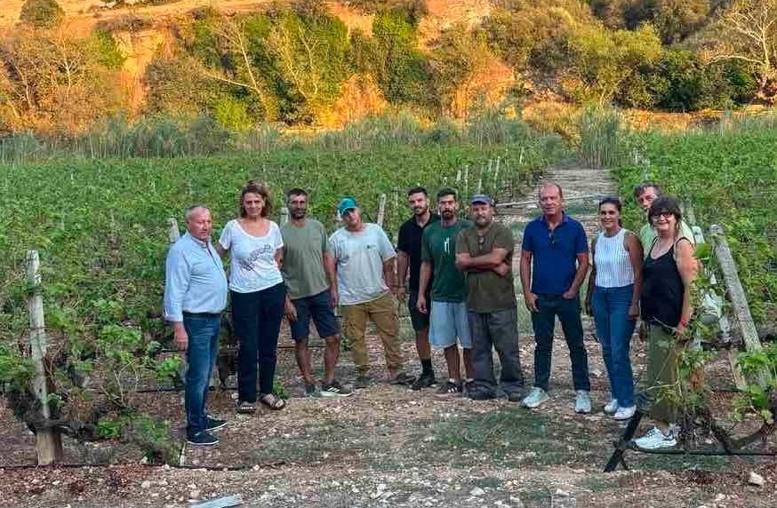 ΛΑΡΙΣΑ - ΑΥΤΟΨΙΑ ΤΟΥ ΓΕΩΠΟΝΙΚΟΥ ΠΑΝΕΠΙΣΤΗΜΙΟΥ ΑΘΗΝΩΝ ΣΤΟΥΣ ΑΜΠΕΛΩΝΕΣ ΤΟΥ ΔΗΜΟΥ ΤΥΡΝΑΒΟΥ ΠΟΥ ΕΠΛΗΓΗΣΑΝ ΑΠΟ ΤΟ ΧΑΛΑΖΙ ΛΑΡΙΣΑ - ΑΥΤΟΨΙΑ ΤΟΥ ΓΕΩΠΟΝΙΚΟΥ ΠΑΝΕΠΙΣΤΗΜΙΟΥ ΑΘΗΝΩΝ ΣΤΟΥΣ ΑΜΠΕΛΩΝΕΣ ΤΟΥ ΔΗΜΟΥ ΤΥΡΝΑΒΟΥ ΠΟΥ ΕΠΛΗΓΗΣΑΝ ΑΠΟ ΤΟ ΧΑΛΑΖΙ