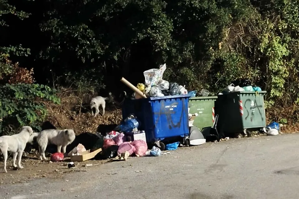 ΛΑΡΙΣΑ - «Βρώμα και δυσωδία από σκουπίδια στο Πολυδένδρι» ΛΑΡΙΣΑ - «Βρώμα και δυσωδία από σκουπίδια στο Πολυδένδρι»
