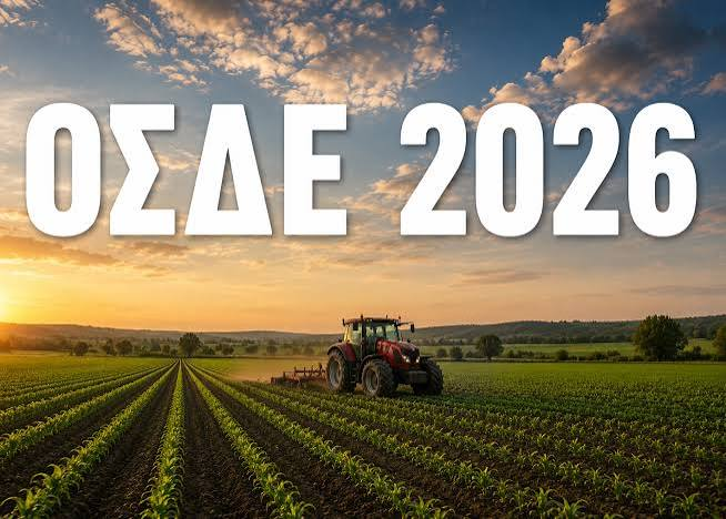 Αγροτικά - ΟΣΔΕ 2026: Τα μισθωτήρια περνούν από «κόσκινο» – ποια χωράφια κινδυνεύουν να μείνουν εκτός πληρωμής Αγροτικά - ΟΣΔΕ 2026: Τα μισθωτήρια περνούν από «κόσκινο» – ποια χωράφια κινδυνεύουν να μείνουν εκτός πληρωμής