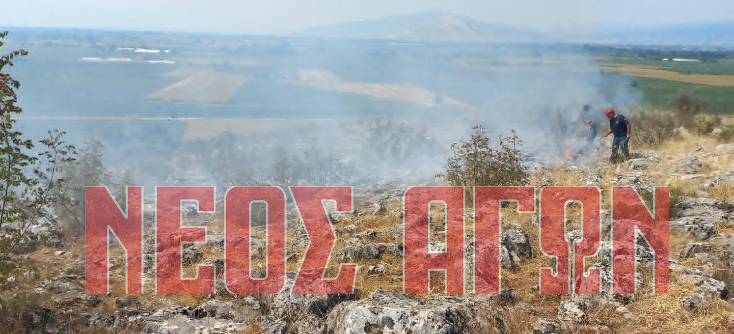 ΚΑΡΔΙΤΣΑ - Υπό έλεγχο τέθηκε φωτιά στη Μεταμόρφωση του Δήμου Παλαμά ΚΑΡΔΙΤΣΑ - Υπό έλεγχο τέθηκε φωτιά στη Μεταμόρφωση του Δήμου Παλαμά