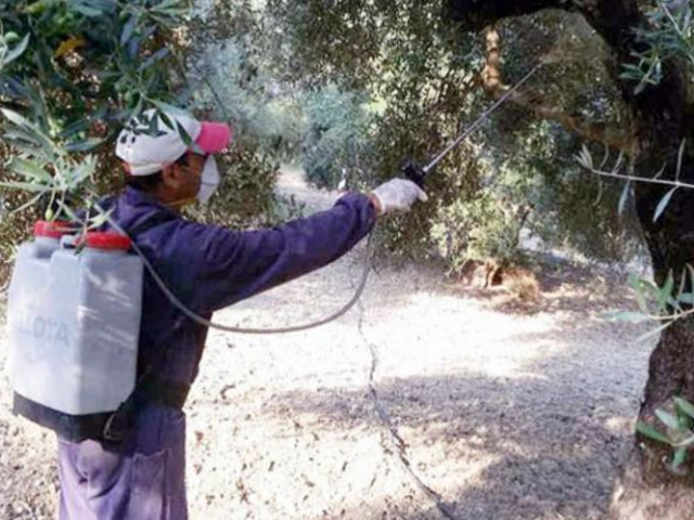 ΛΑΡΙΣΑ - ΔΑΟ ΠΕ Λάρισας Περιφέρειας Θεσσαλίας: Δολωματικός ψεκασμός ελαιοπερίβολα στους Δήμους Τεμπών, Αγιάς, Ελασσόνας και Τυρνάβου ΛΑΡΙΣΑ - ΔΑΟ ΠΕ Λάρισας Περιφέρειας Θεσσαλίας: Δολωματικός ψεκασμός ελαιοπερίβολα στους Δήμους Τεμπών, Αγιάς, Ελασσόνας και Τυρνάβου