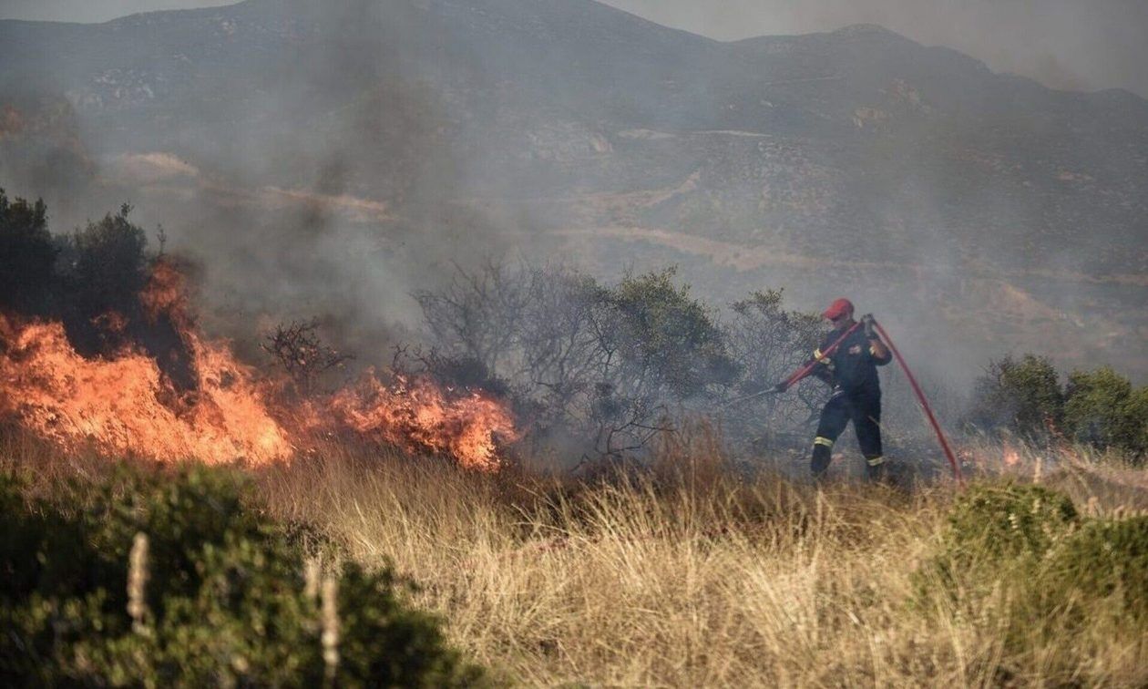 ΛΑΡΙΣΑ - Συναγερμός για φωτιά στη Ραψάνη - οριοθετήθηκε χάρη στην επέμβαση ισχυρών επίγειων δυνάμεων της Πυροσβεστικής ΛΑΡΙΣΑ - Συναγερμός για φωτιά στη Ραψάνη - οριοθετήθηκε χάρη στην επέμβαση ισχυρών επίγειων δυνάμεων της Πυροσβεστικής