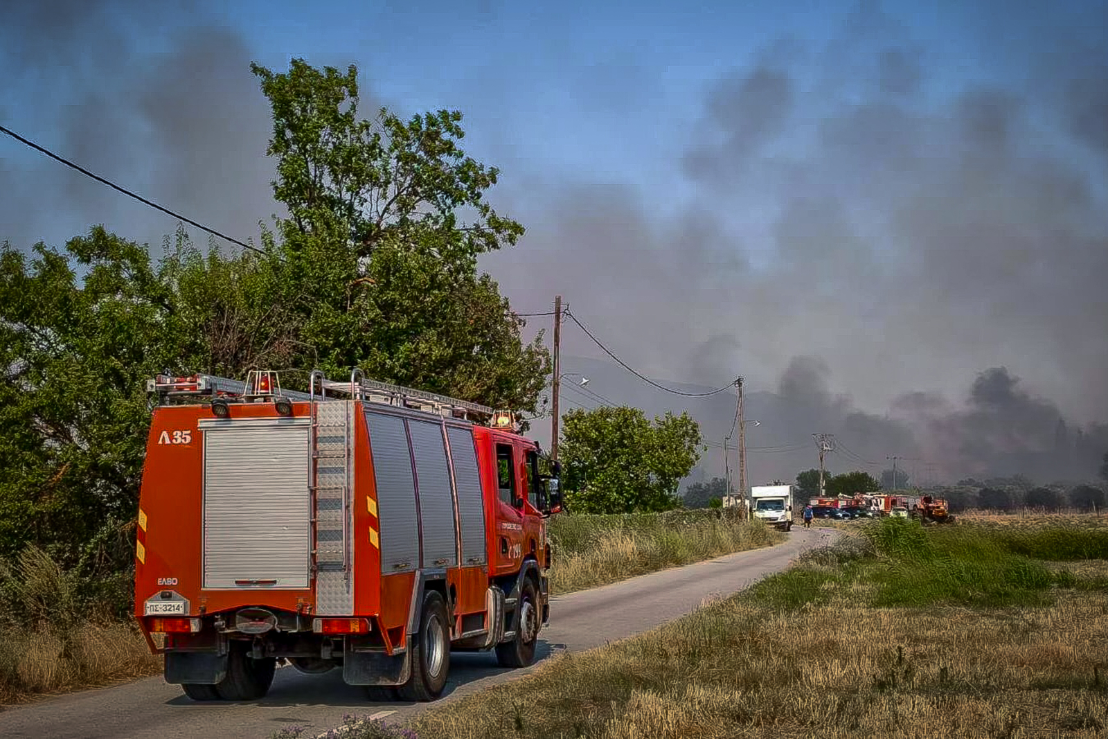 ΤΡΙΚΑΛΑ - Πυρκαγιά στα Τρίκαλα στην περιοχή Γενέσι - Επιχειρούν και εναέρια μέσα ΤΡΙΚΑΛΑ - Πυρκαγιά στα Τρίκαλα στην περιοχή Γενέσι - Επιχειρούν και εναέρια μέσα