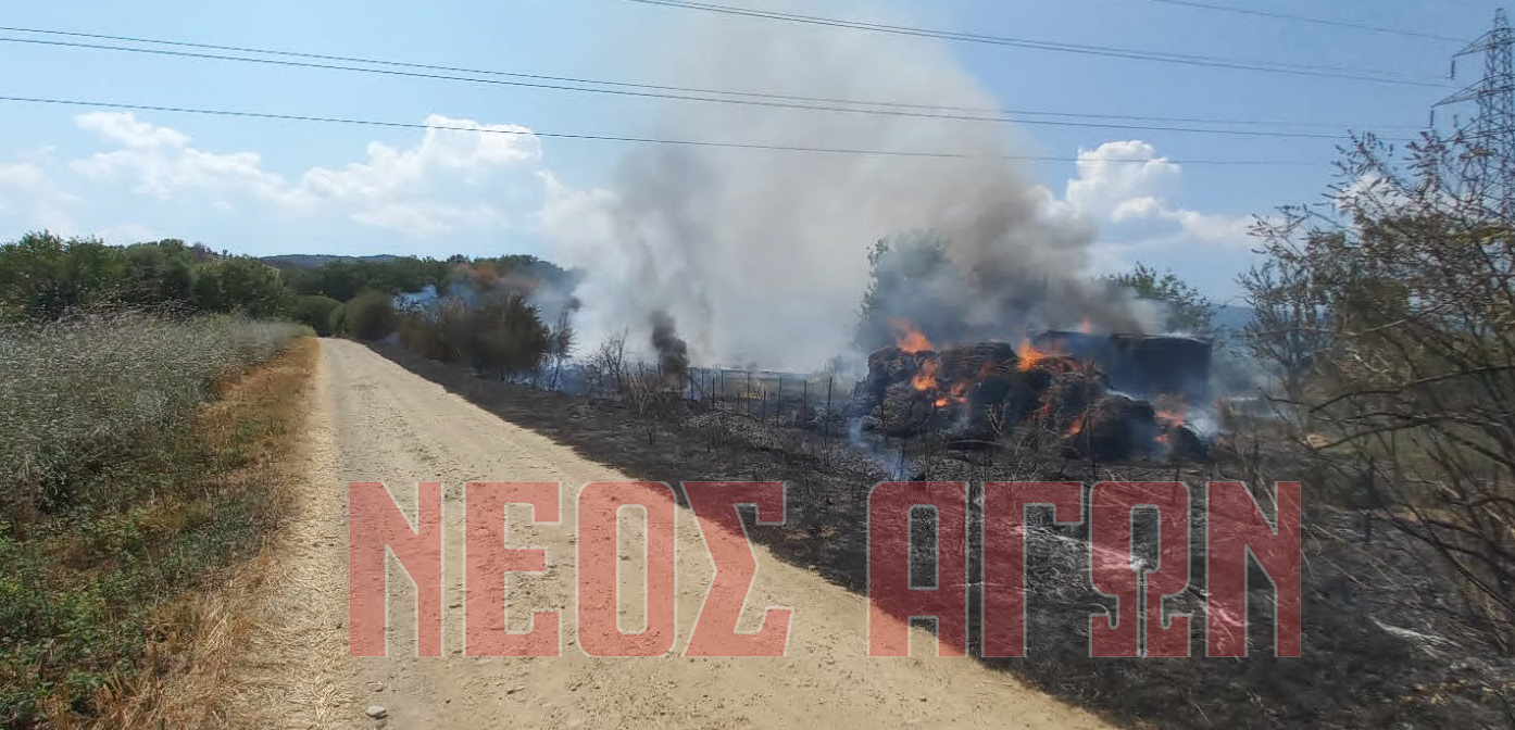 ΚΑΡΔΙΤΣΑ - Καθοριστική η άμεση επέμβαση της Πυροσβεστικής σε δασική πυρκαγιά στην Κρύα Βρύση Καρδίτσας (ΦΩΤΟ) ΚΑΡΔΙΤΣΑ - Καθοριστική η άμεση επέμβαση της Πυροσβεστικής σε δασική πυρκαγιά στην Κρύα Βρύση Καρδίτσας (ΦΩΤΟ)